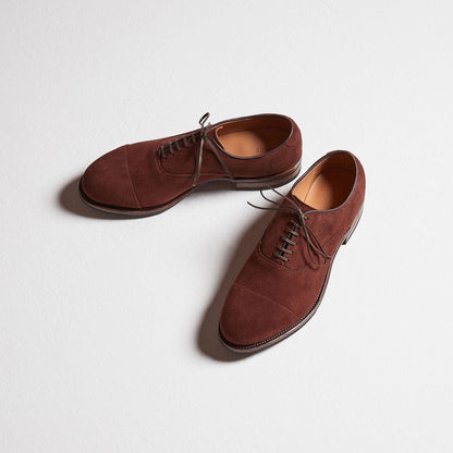 Bastion Oxford - Terre Calf Suede